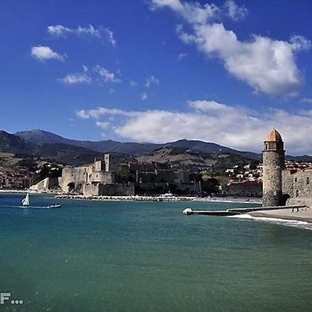 Mas Badie Villelongue-dels-Monts Bagian luar foto