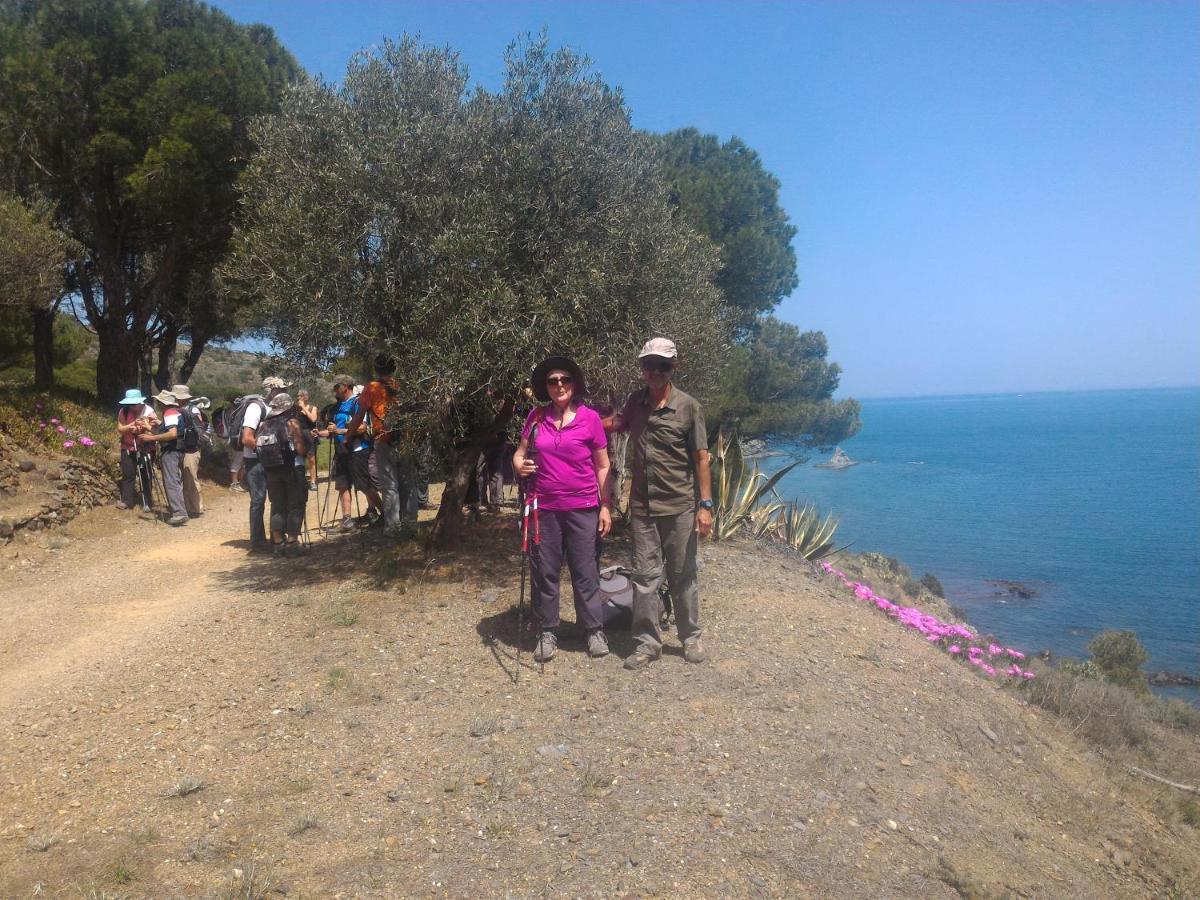 Mas Badie Villelongue-dels-Monts Bagian luar foto